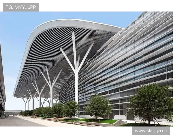 欧博真人官方网站注册流程指南以及新手入门必备技能介绍